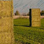 Bale Stacker Feature 2